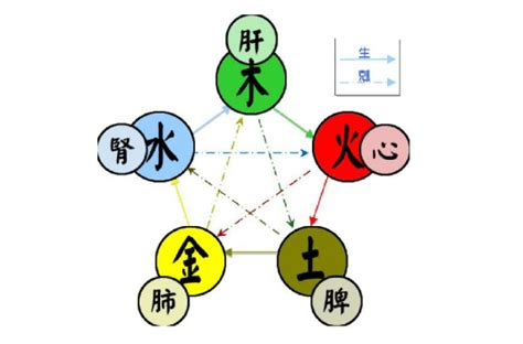 五行火的物品|五行（对万事万物的取象比类）